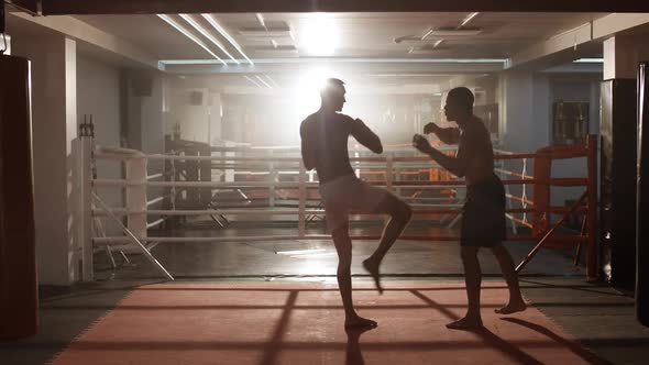 Kickboxing, Man Boxers Train in Sparring, They Performs Strikes with Their Feet, Training Day 