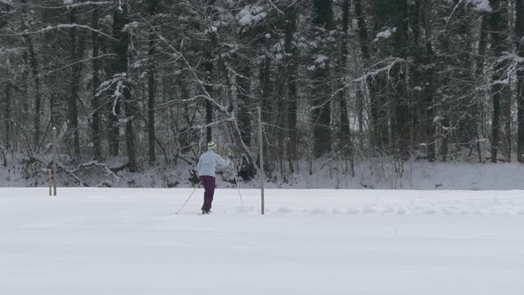 Woman ski touring near the forest