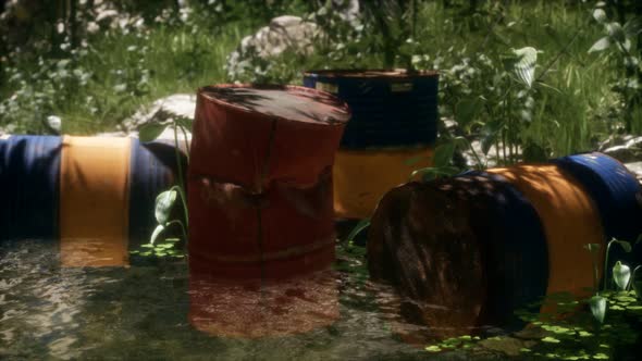 Rusty Barrels in Green Forest