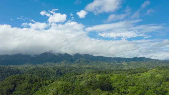 Hills with Green Grass and Blue Sky with White Puffy Clouds