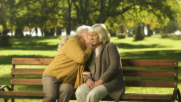 Old Ladies Gossiping About Their Friends, Sitting on Bench in Park, Golden Years