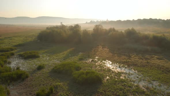 Panorama of Swamp Field on a Sunny Day