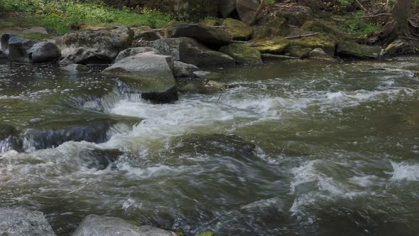 Wild river Doubrava in Czech Republic, Europe.