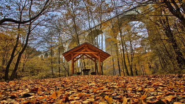 Autumn Forest Timelapse with Wooden Summer House