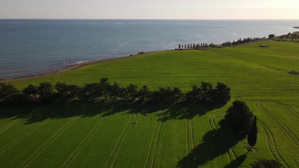 Cyprus green fields. Sea and waves. Fly over beautiful views near Larnaca. Cyprus. Mediterranean. Da