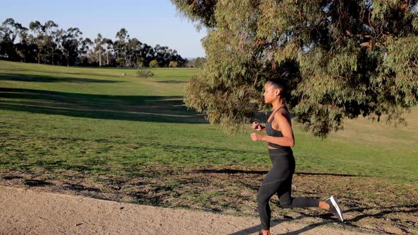 Mixed ethnicity woman working out in the park