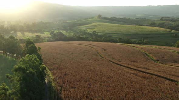 Rural landscape aerial view. Nature scenery