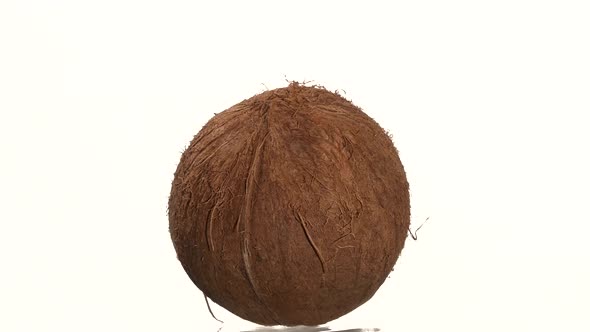 Coconut Isolated on White, Rotation