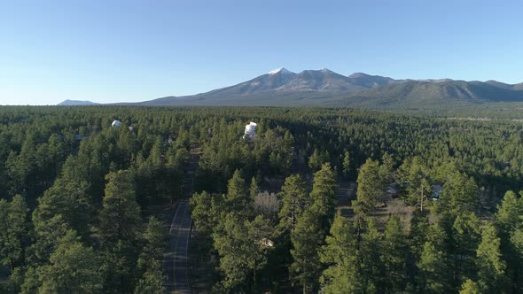 Aerial view of trees and mountain