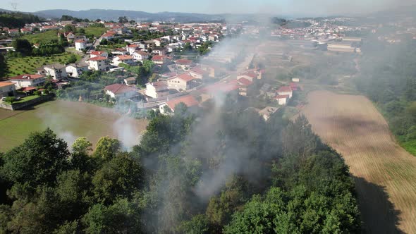 Forest Fire Near Village Houses