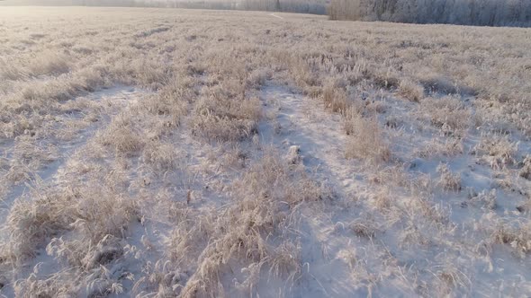 Winter Landscape in Countryside