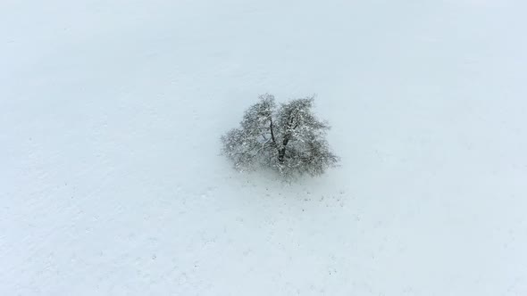 Ariel footage of snow covered landscapes.