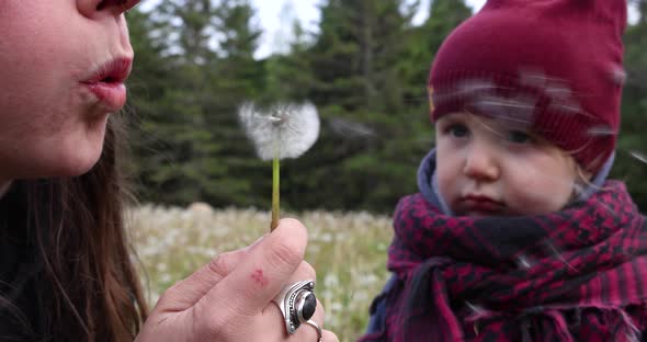 Blowing a Dandelion in Slow Motion