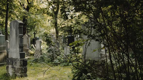 Misterious Walk Around Graves in European Old Cemetry.