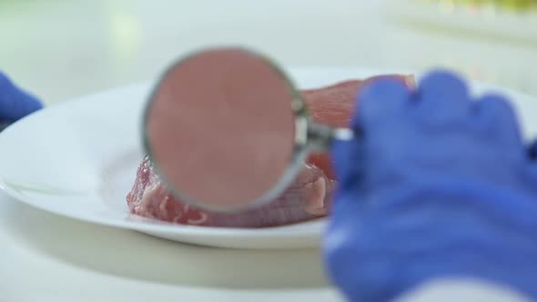 Scientist Looking Through Magnifying Glass at Meat Sample, Quality Control
