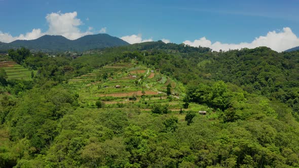 Flying Over Farms In The Countryside Of Bali