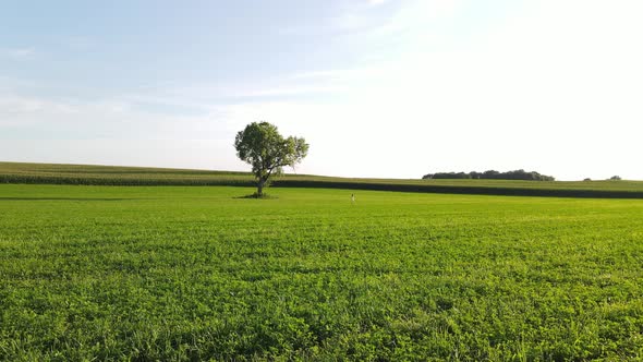 amazing beautiful field in the mdwest, minnesota country side