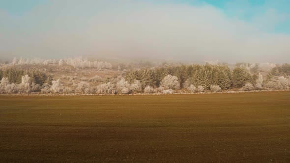 Aerial Footage Flying over electrical wires to the frozen forest