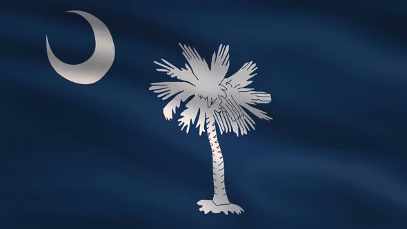 South Carolina State Flag Background 4K