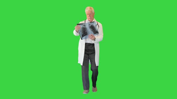 Doctor Looking at Xray and Walking on a Green Screen Chroma Key