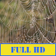Silver Spiderweb - VideoHive Item for Sale