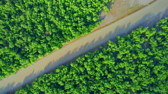 4K : Aerial view over mangrove forest at Khlong Khon, Samut Songkhram, Thailand