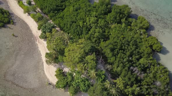 Aerial view of small tropical island with lots of trees and mangrove in the Philippines - camera ped