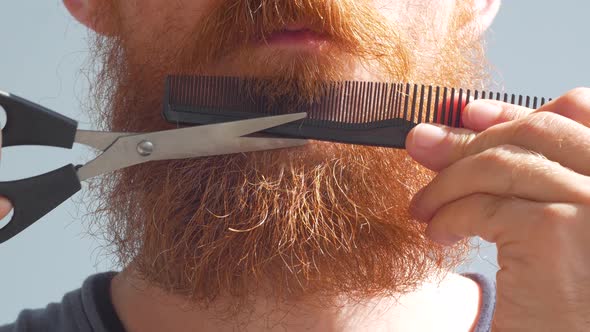 Adult man cutting his own beard and mustache with scissors comb Caucasian red bearded male face 4K