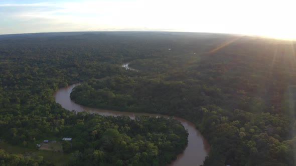 Aerial view of a tropical forest canopy with a tropical river