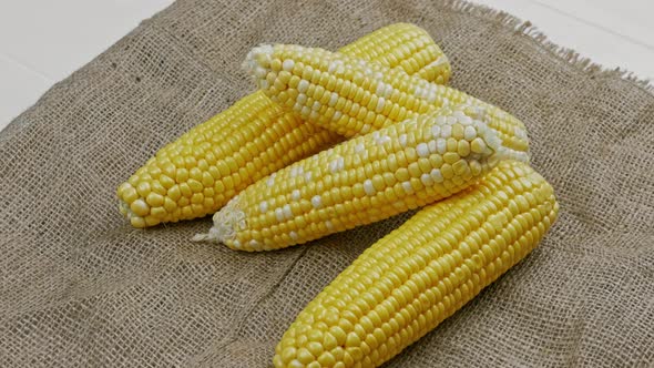 Corn Cobs on Sackcloth Background