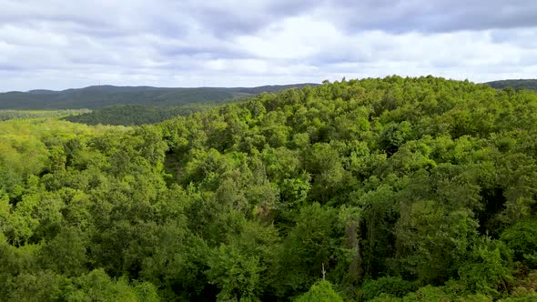 Drone flight over the north Istanbul forest. Cloudy sky and green nature