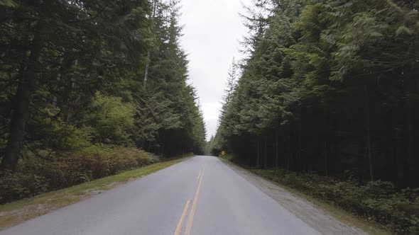 Scenic Road in the Green Canadian Rain Forest