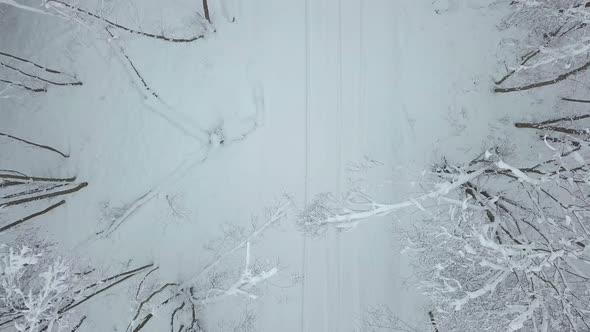Shooting with a drone of a winter road in the forest. vertically down.