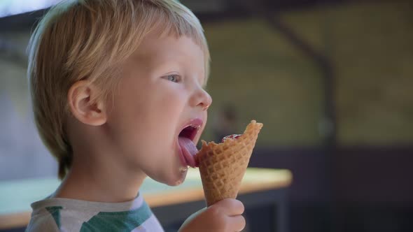 Dessert, Little Child Male Sweet Tooth with Pleasure Eats Sweet Cool Ice Cream with Fruit During