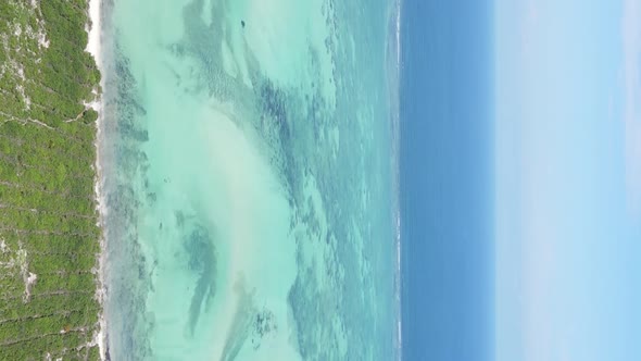 Vertical Video of Low Tide in the Ocean Near the Coast of Zanzibar Tanzania Aerial View