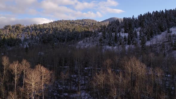 Flying over frozen pond towards snowy forest