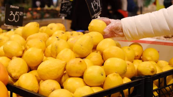 A European Woman Buys Citrus Fruits at the Fruit Market