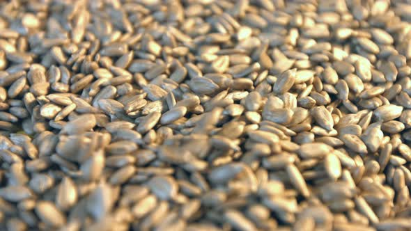 Shelled Sunflower Seeds