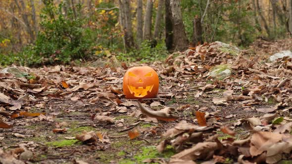 Halloween Spooky Pumpkin in Forest