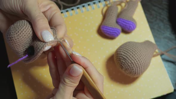 Female Hands Knitting Amigurumi Toys