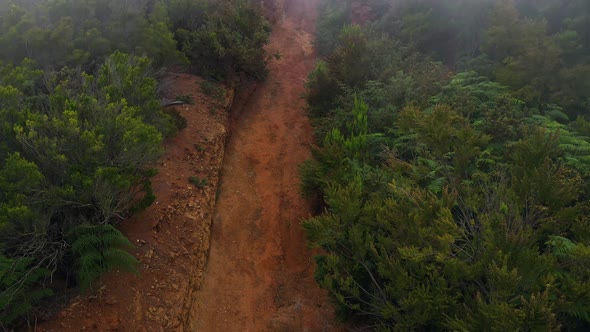 Rising Along the Slope of the Mountain at Cloud Level