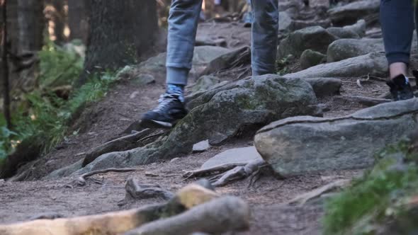 View of Legs of Group Tourists Climbing Up Along Stone Trail in Mountain Forest