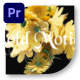 3D Floral Bloom Intro - VideoHive Item for Sale