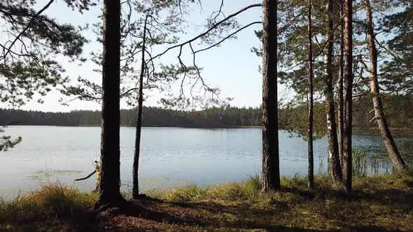 Wonderful Landscape Of Rogovo Lake