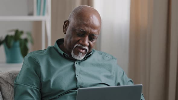 Focused Old Senior Bald Overweight African Man Freelancer Mature Male Working on Computer at Home