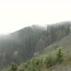 Summer Fog over a Wooded Hillside - VideoHive Item for Sale