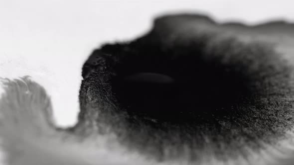 Ink Paper Drop Wet Blob Texture Black Paint White alt