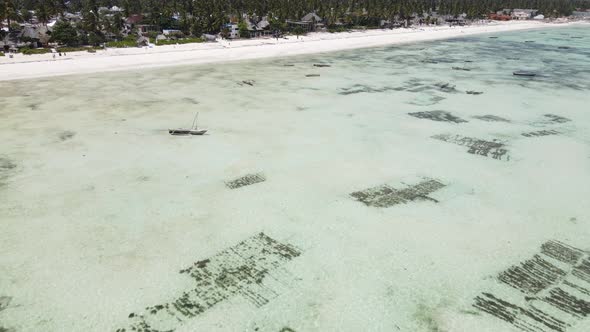 Zanzibar Tanzania  Aerial View of Low Tide in the Ocean Near the Coast