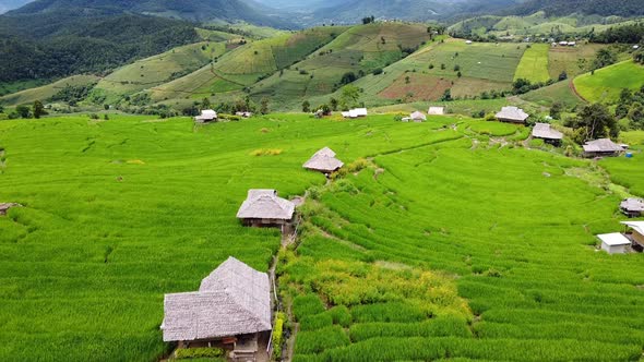 Aerial view of rice terraces field in northern of Thailand by drone