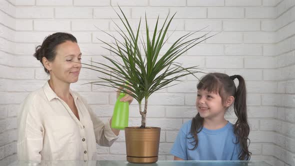 The family takes care of houseplants.